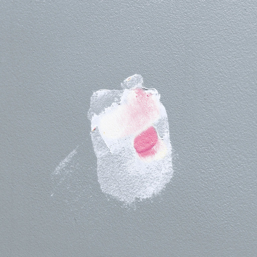 Drydex White Interior, Exterior Color-Changing , Spackling 1 Gallon(S)