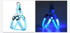 USB RECHARGEABLE Led Dog HARNESS ( Glow Flashing Light-Up Night Safety)