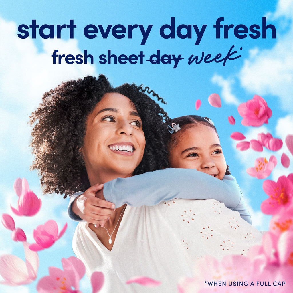 April Fresh Fabric Softener Dryer Sheets 240 Loads 240 -Count