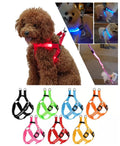 USB RECHARGEABLE Led Dog HARNESS ( Glow Flashing Light-Up Night Safety)
