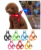 USB RECHARGEABLE Led Dog HARNESS ( Glow Flashing Light-Up Night Safety)
