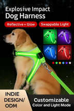 USB RECHARGEABLE Led Dog HARNESS ( Glow Flashing Light-Up Night Safety)