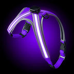 USB RECHARGEABLE Led Dog HARNESS ( Glow Flashing Light-Up Night Safety)